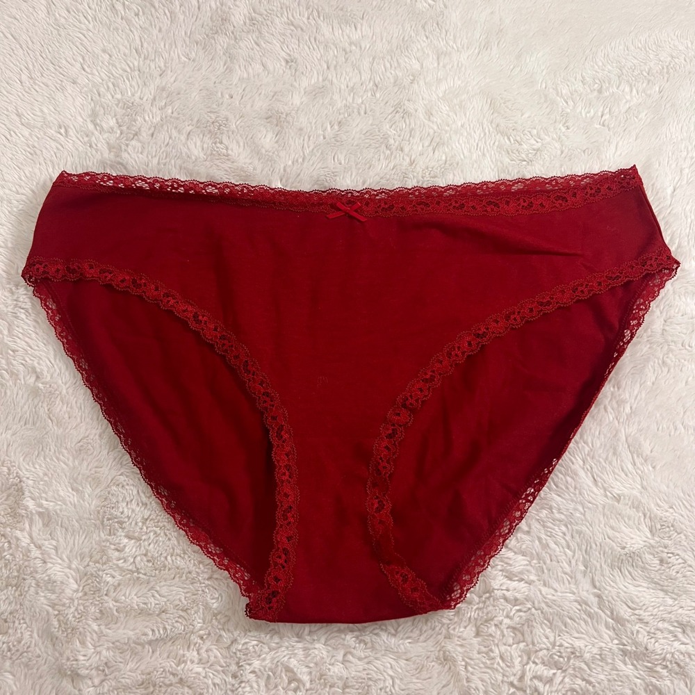 Skims Stretch Cotton Lace Trim Brief Panty Ruby Red 3X Plus Size Bikini Coquette